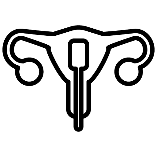 Illustration des weiblichen Fortpflanzungssystems mit Gebärmutter und Eileitern in schwarzer Linie.